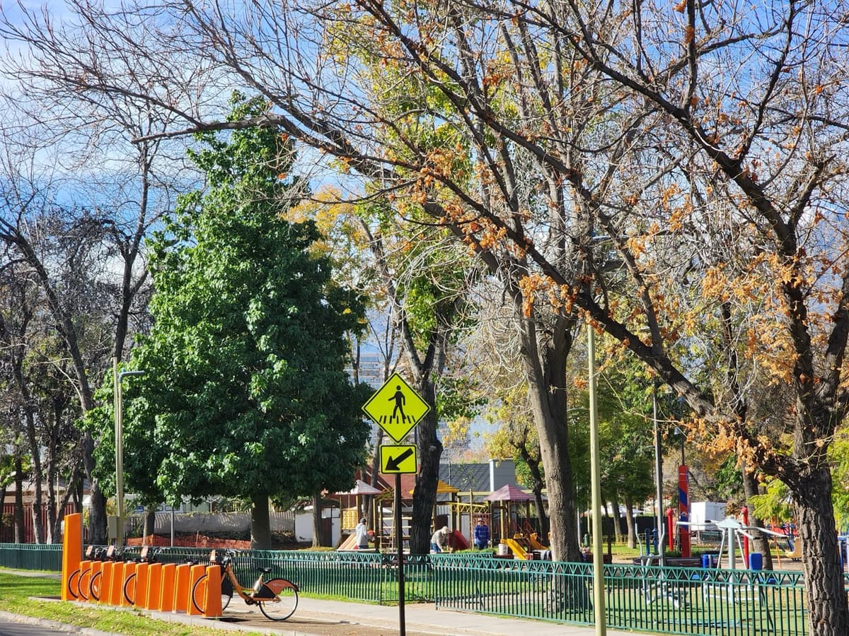 Entorno y ubicación